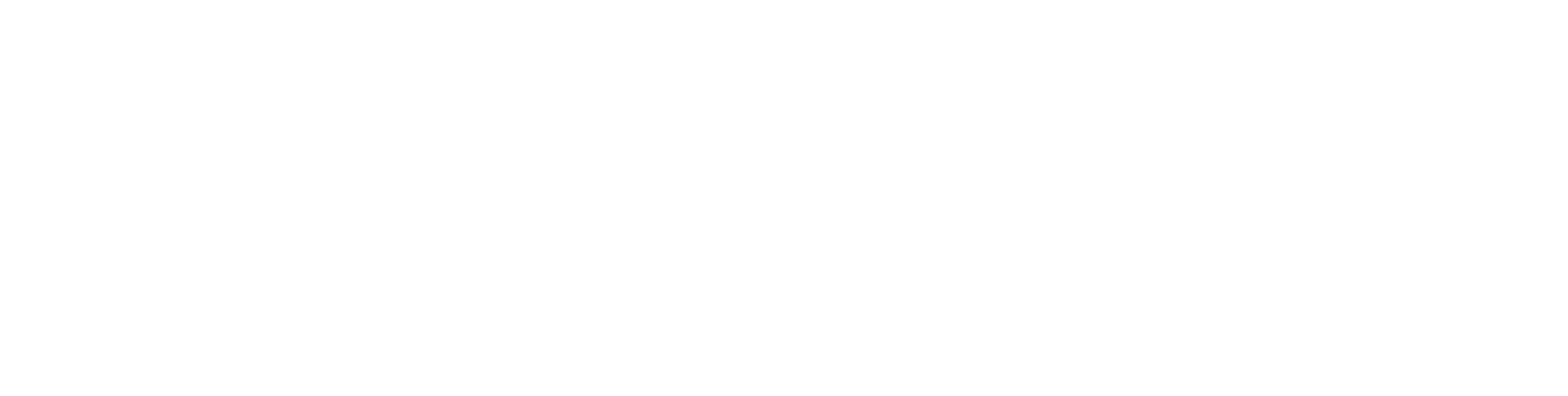 SaniClean