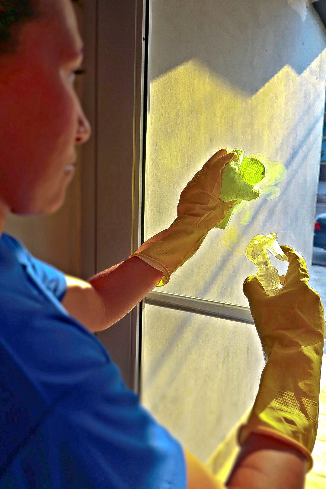 SaniClean 3