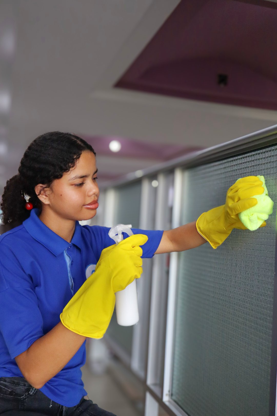 SaniClean Servicios
